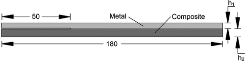 Figure 14. Specimen geometry (dimensions in mm).