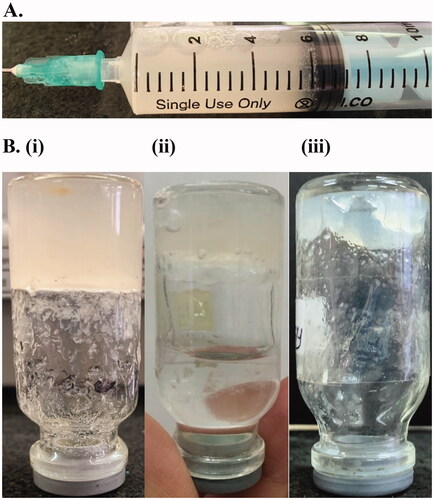 Figure 2. Representative procedure of the release experiment. (A) reconstitution of the lyophilizate and (B) The sample at the beginning (i), during (ii) and at the end (iii) of the release experiment.