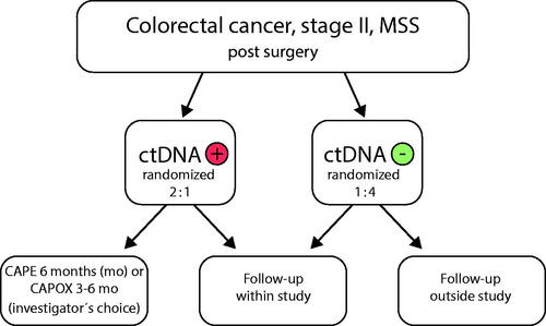 Figure 2. Simplified description of design of the ongoing CIRCULATE-AIO adjuvant trial in localized colon cancer (n ≈ 4800).