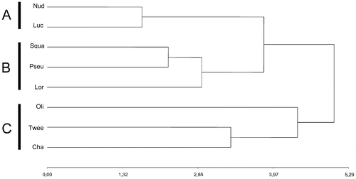 Figure 5. Dendrogram showing the phenetic relationships among the studied species of. Vernonanthura, constructed using the matrix of karyotype similarities with UPGMA. Cophenetic correlation coefficient r = 0.757. Abbreviations: Nud, V. nudiflora; Luc, V. lucida; Squa, V. squamulosa; Pseu, V. pseudolinearifolia; Lor, V. loretensis; Oli, V. oligactoides; Twee, V. tweediana; Cha, V. chamaedrys.