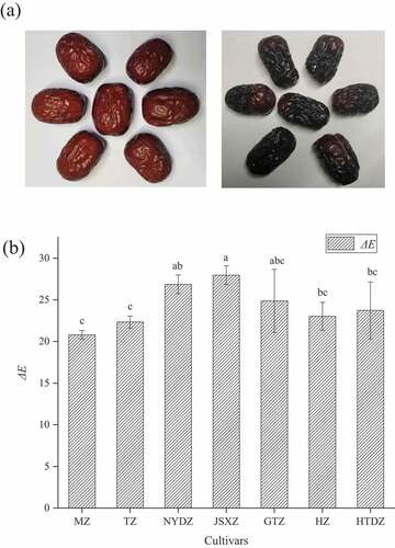 Figure 1. (a) The picture of the HZ before and after blackening. (b) Color differences (ΔE) of seven jujube cultivars before and after blackening process (different letters in each column represent significant differences (p < .05)).