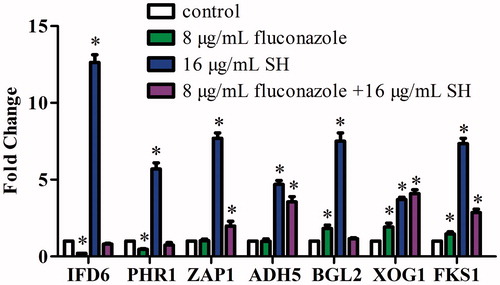 Figure 2. qRT-PCR analysis of IFD6, PHR1, ZAP1, ADH5, BGL2, XOG1 and FKS1 expressions under the treatments of no drug (control), 8 μg/mL fluconazole, 16 μg/mL SH, and 8 μg/mL fluconazole +16 μg/mL SH in C. albicans 1601. *p < 0.05, compared with the control.