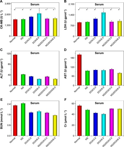 Figure 12 Blood biochemical analyses.Notes: Evaluations of CK-MB (A), LDH (B), ALT (C), AST (D), BUN (E), and Cr (F) in serum of normal mice or H22 hepatoma-xenografted BALB/c mice after treatment with NS as control, or free DOX·HCl or NG/DOX at a dosage of 3.0 mg or 6.0 mg DOX·HCl equivalent per kg body weight. Each set of data is represented as mean ± SD (n=10, *P<0.001).Abbreviations: DOX, doxorubicin; DOX·HCl, doxorubicin hydrochloride; NG/DOX, DOX-loaded nanogel; NS, normal saline; CK-MB, creatine kinase isoenzyme; LDH, lactate dehydrogenase; ALT, alanine aminotransferase; AST, aspartate aminotransferase; BUN, blood urea nitrogen; Cr, creatinine; SD, standard deviation.