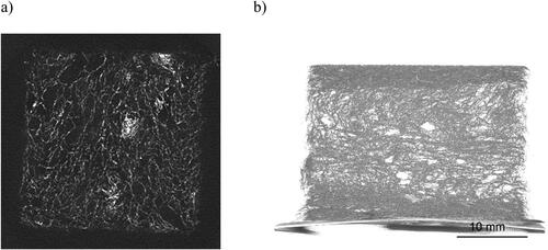 Figure 27. Structural images of foam-formed fiber network as obtained with X-ray tomography: (a) In a thin slice viewed from above,[Citation77] the bubble structure of the wet foam is visible as a planar distribution of fibers (shown in light color) into polygonal patterns formed by gaps between the bubbles after drying. The vortex-type denser regions probably originate from instabilities in the foam flow. (b) A side-view of sample cross-section containing refined kraft pulp and hemp fibers (SDS surfactant). Re-moistening and pressing has led to higher local density near sample surfaces. Reprinted from Ref. [Citation77] under the terms of the CC BY 4.0 license.