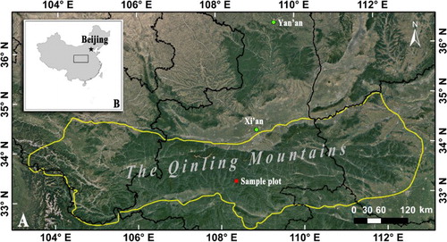 Figure 1. Location of the study site in the Qinling Mountains of China. Maps were generated using ArcGIS 10.0.