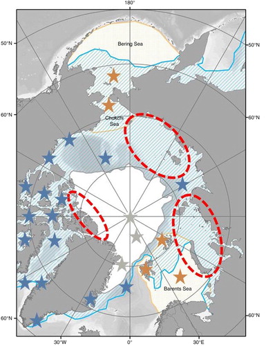 Fig. 1  Map of the Arctic Ocean showing the minimum sea-ice extent September 2012 and the median sea-ice extent February 1981–2010 (blue line). Locations of published food-web studies and the case study areas of this review are marked with yellow (seasonally ice-free areas), blue (Marginal Ice Zone [MIZ]) and grey (permanently ice-covered High Arctic) stars. Red circles indicate areas that require more investigation. Bathymetry after Amante & Eakins (Citation2009); sea-ice data from Fetterer et al. (Citation2002).