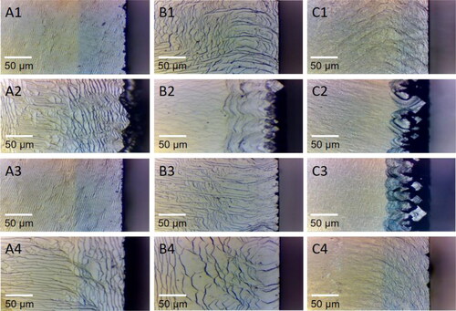 Figure 6. Optical microscopy images of as-grown SCD edge regions, (A1–A4) 20 kPa; (B1–B4) 21.5 kPa; (C1–C4) 23 kPa.