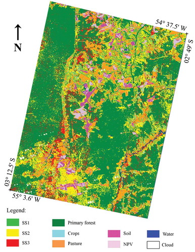 Figure 3. Land-cover map derived from the ANN applied to the combined input data set (reflectance plus texture metrics).