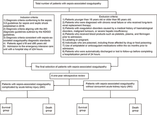 Figure 1 Flowchart of the patient registration process.