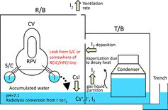 Figure 1. Schematic of contaminated water accumulation in the basements of R/B, T/B [Citation1] and release from accumulated water considered in present simplified model calculation.