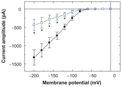 Figure 2 Effects of Fe3O4 NPs on I–V relation of IMEP in GH3 cells. In these experiments, cells were bathed in Ca2+-free Tyrode’s solution containing 10 mM CsCl, and IMEP was elicited from −50 mV to different potentials ranging from −200 to 0 mV with 20 mV increments. The data (mean ± standard error of the mean; n = 8–11) were obtained in the absence (■) and presence (□) of Fe3O4 NPs (100 μg/mL). Notably, addition of the NPs reduced the slope of IMEP at the voltage ranging between −100 and −200 mV, although no change in the threshold potential of this current was observed.Note: *Significantly different from controls measured at each voltage.Abbreviation: Fe3O4 NPs, magnetite nanoparticles.