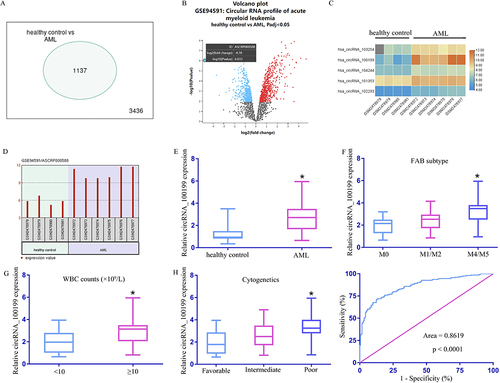 Figure 1 Downregulation of Serum circRNA_100199 in AML patients. (A) Differentially expressed circRNAs. (B) Differentially expressed genes in the GSE94591 dataset, presented using a Volcano plot. C. Genes upregulated in the GSE94591 dataset, subjected to clustering analysis. (D) circRNA_100199 was the highly upregulated in AML relative to healthy control levels. (E) serum circRNA_100199 levels were significantly higher in AML patients than in the healthy controls. (F) Serum circRNA_100199 levels were significantly upnregulated in M4/M5 subtypes compared to M1/M2 subtypes. (G) Serum circRNA_100199 levels were significantly upregulated in AML patients with higher WBC counts. (H) Serum circRNA_100199 levels were gradually upregulated in AML patients with favorable risk cytogenetic, intermediate risk cytogenetic, and poor risk cytogenetic groups. *p < 0.05.