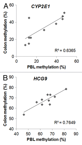 Figure 2. Examples for metastable epiallele (ME) candidates with 3 or more CpG sites meeting ME criteria in close vicinity (within 10 kb) of each other. DNA methylation from peripheral blood leukocyte (mesodermal origin) DNA, and colonic mucosa (colon, endodermal origin) showed significant intraindividual correlation, but > 10% interindividual methylation differences. A. CYP2E1, where gene expression associated with DNA methylation in Parkinson disease brain. Epigenetic responsiveness to periconceptual maternal micronutrient supplementation was also observed in the cord blood of female newborns at this gene. B. HCG9, where DNA methylation associated with bipolar disorder in three different [brain, white blood cells, sperms (germ line)] tissues (see text for references and details). n = 10. CYP2E1: r = 0.8, p = 0.005; HCG9: r = 0.87, p = 0.001
