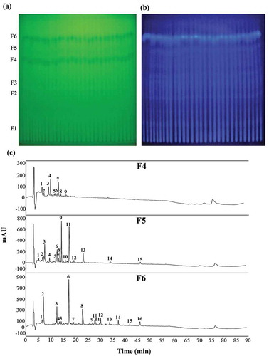 Figure 1. TLC-based analysis of antimicrobial compounds from concentrated crude Bacillus licheniformis BFP011 cell culture supernatant. TLC separation was conducted using a solvent mixture of n-butanol:ethanol:acetic acid:water (v/v, 6:12:1:6) and compounds were detected under UV at 254 (a) and 365 nm (b). Fractions F1–F6 were subjected to Rf calculation and a chromatographic separation of active antimicrobial compounds (F4, F5 and F6) was constructed using C18 RP-HPLC (c). Individual peaks were detected by UV absorption at 220 nm.Figura 1. Análisis basado en la CCF de compuestos antimicrobianos procedentes del sobrenadante concentrado crudo del cultivo celular de Bacillus licheniformis BFP011. Mediante CCF se realizó la separación, utilizando para ello una mezcla de disolventes de n-butanol: etanol: ácido acético: Agua (v/v, 6: 12: 1: 6); los compuestos fueron detectados por medio de luz UV a 254 nm (a) y 365 nm (b). Las fracciones F1 a F6 fueron sometidas al cálculo Rf; y se construyó una separación cromatográfica de compuestos antimicrobianos activos (F4, F5 y F6) mediante C18 RP-HPLC (c). Los picos individuales fueron detectados empleando absorción UV a 220 nm.