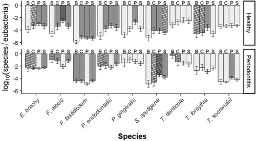 Figure 2. Differences in relative bacterial load (ratio between the load of each species and the number of eubacteria in log10 scale) between countries. B: Belgium; C: Chile; P: Peru; S: Spain. Bar height and whiskers represent the mean and the confidence interval at 95%, respectively. A lower value means a lower relative proportion of that species. Within each species and diagnosis, the countries with a significantly different bacterial load are represented in different solid tones of grey. Countries with striped bars show no significant differences in bacterial load compared to the countries with the solid bars that share the colours of the stripes (within the same species and diagnosis). Moreover, the striped bars with a different pattern of greys are significantly different from one another.