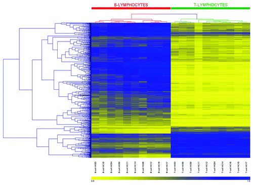Figure 4. Heatmap and clustering for the 679 CpGs identified as differentially methylated. CpG sites identified by 450K array analysis as differentially methylated between paired T-lymphocytes (green bar) and B-lymphocytes (red bar) were analyzed by hierarchical clustering. Each row represents an individual CpG site and each column a different sample (listed beneath the heatmap). Branches of the dendrograms indicate similarity between CpGs (rows) and samples (columns). Color gradation from yellow to blue represents low to high DNA methylation respectively, with β-values ranging from 0 (no methylation; yellow) to 1 (complete methylation; blue). Sample order, left-to-right: B-lymphocytes: HC03, 10, 04, 09, 11, 14, 08, 12, 16, 17; and T-lymphocytes: HC03, 08, 09, 11, 12, 04, 14, 16, 10, 17.