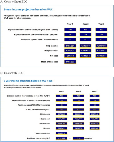 Figure 3. Results – scenario 2 model outputs for small private hospital implementing a high risk-targeted subset of the ccAFU recommendations. (A) Costs without BLC. (B) Costs with BLC.