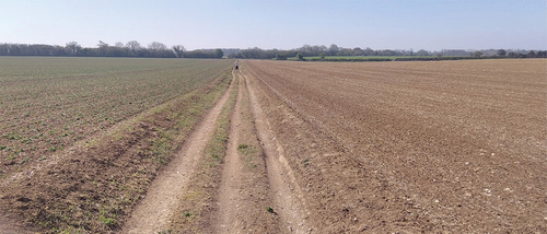 Figure 1. A tractor route across a field: waffle-boards, sunken line with outer ridges.