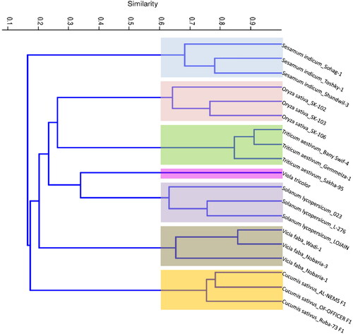 Figure 7. Phylogenetic tree showing the similarity among seven different plant species and their cultivars/genotypes based on Jaccard’s similarity of Bracelet, Hybrid and TI cyclotide combined data.