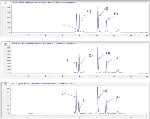 Figure 2. Chromatographic profiles of the extracts obtained from the aerial parts of P. piedecuestanum: (A) dichloromethane extract obtained by percolation, (B) ethyl acetate extract obtained by percolation (C) extract of dichloromethane obtained after 6 hours of Soxhlet extraction