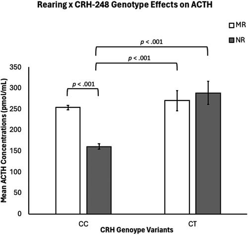 Figure 1. There were significant rearing and CRH-248 genotype effects on ACTH concentrations, with NR subjects exhibiting lower ACTH concentrations when compared to MR subjects (p <.049), and CC subjects exhibiting lower ACTH concentrations, when compared to CT subjects (p <.001). There was a rearing-by-CRH-248-genotype interaction, with NR CC subjects exhibiting lower ACTH concentrations, when compared to MR CC subjects (p =.003) and to NR CT subjects (p <.001) and to MR CT subjects (p <.001). MR subject’s ACTH concentrations were undifferentiated by genotype (p =.051) and there was not a significant difference in ACTH concentrations for MR CC and NR CT subjects (p =.22) or between MR CT and NR CT subjects (p =.62).