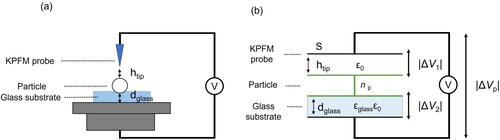 Figure 4. (a) Image of the surface potential measurement for aerosols on the glass substrate and (b) schematic diagram of a simplified capacitor model of the tip-particle-substrate in plane geometry.