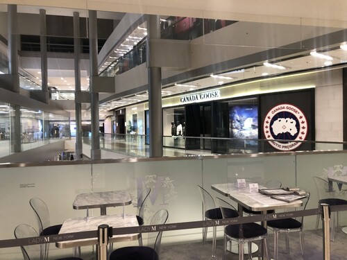 Figure 1. Canada Goose and Lady M New York on the central promenade of IFC Mall.Source: Kristie Cheng, 2021.