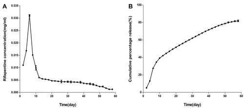 Figure 3 (A) In vitro rifapentine release curve. (B) In vitro cumulative percentage release curve of rifapentine.