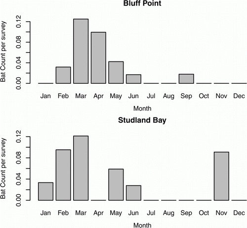 Figure 2  Monthly patterns when bats were detected at the Bluff Point and Studland Bay Wind Farms. Data have been scaled for survey effort. Due to the scaling for survey effort for each month, the results for November at Studland Bay should be interpreted with caution as it represents one bat find.