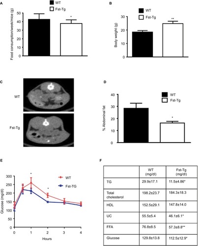 Figure 1 Analysis of abdominal fat volume, glucose clearance, and serum profiles of WT and Fst-Tg mice. (A) Analysis of weekly total food consumption, (B) body weight, (C) abdominal fat volume by CT-scan, and (D) quantitative analysis of abdominal fat volume in 10 week-old male WT and Fst-Tg mice fed on normal chow. (E) Glucose tolerance test (GTT), 10-week-old male WT and Fst-Tg mice were fasted overnight and given D-glucose (1 g/kg) by IP injection. Blood glucose was measured at different time points. (F) Analysis of serum profiles of 10-week-old WT and Fst-Tg mice. Data are expressed as mean ± SD. *P≤0.05, **P≤0.01 (n=10).