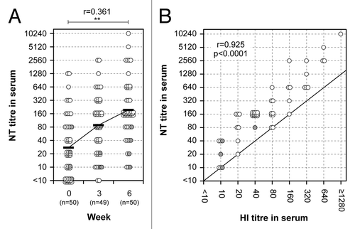 Figure 2. Neutralizing antibody responses and correlation between HI and NT titers in serum. (A) Neutralizing antibody responses before and after primary and secondary vaccination are shown. A paired t test was performed to compare data from week 0 (pre) and 6 (post). The correlation coefficient (r) and p value were calculated. **; p < 0.01. (B) Correlation between HI and NT titers in serum 3 weeks after the secondary nasal vaccination. The abscissa and ordinate show HI and NT titers, respectively. Pearson r value and p value were calculated. Each individual is represented by a circle showing corresponding HI and NT titers. Gray circles indicate subjects between 60 and 69 y-of-age.