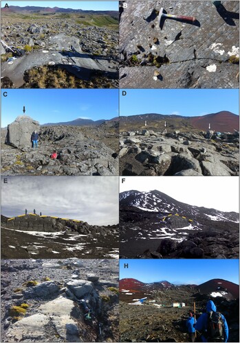 Figure 3. Examples of erosional features found on Marion Island. On the Tafelberg complex one can find (A) a glaciated bedrock pavement partly covered with erratics and till material; (B) striations and glacial polishing. (C) A large erratic as found on the glaciated outcrop, Piew Crags, and (D) several scattered erratics (white arrows) on glacially moulded and striated bedrock of Tafelberg. (E and F) Different aspects of the same roche moutonnee on the western side of the island, near Truter Peak (G) Glacial abrasions and plucking on Tafelberg. (F) Katedraalkrans as an example of an outcrop where no striations have been found but it exhibits severe dilatation fracturing. Refer to Figure 1 and the Main Map for place names.