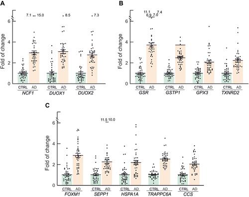 Figure 6 Redox genes with FC>2 and p<0.001, grouped according to their functional role. (A) Genes of the NADPH oxidase family, involved in ROS production. (B) Genes of glutathione and thioredoxin pathways. (C) Other genes involved in redox metabolism. Mean FC values and SEM for each individual gene in AD patients and controls are also represented, as well as outlier values.