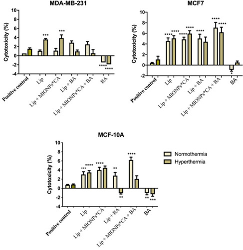 Figure 6 Cytotoxicity percentages of breast adenocarcinoma (MDA-MB-231, MCF7) cells and breast epithelial (MCF 10A) cells after exposure to liposomal structures at concentration of 25 µM. The LDH assessment was performed 24 h post-stimulation under normothermic (37 °C) and hyperthermic (43 °C) conditions. One-way ANOVA analysis was applied to determine the statistical differences followed by Tukey’s multiple comparisons test vs hyperthermia control (*p < 0.05; **p < 0.01; ***p < 0.001, ****p < 0.0001). The data represent the mean values ± SD of three independent experiments (n=3).