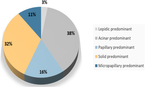 Figure 1 Distribution of histological subtypes in relapsed patients.