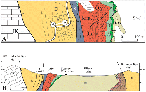 Figure 3. Detailed map of the fossil locality (A) and approximately W–E section (B) of the studied area.