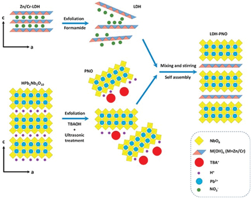 Figure 4. Schematic illustrating the synthesis of LDH-PNO for the photocatalytic oxygen generation. Reproduced with permission [Citation172] 2021, Elsevier. Hybrid structure was self-assembled by layer-by-layer stacking of Zn/Cr-layered double hydroxide (Zn/cr-LDH) and lead niobate (HPb2Nb3O10) nanosheets.