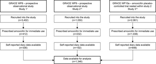 Figure 1 Study flow diagram.