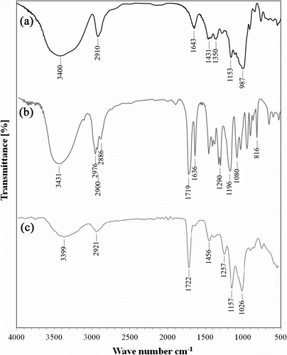 Figure 1 FTIR spectra of pure dextran (a), HEMA monomer (b) and sample S3 (c).