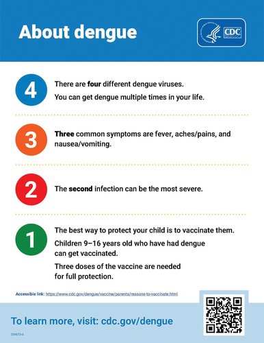 Figure 2. Fact sheet - about dengue.