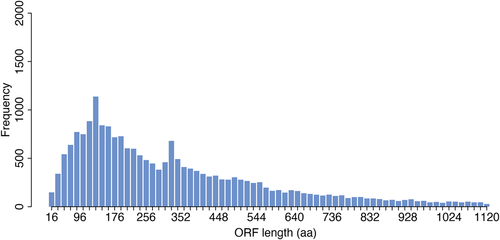 Figure 1. Length distribution of known protein-coding ORFs. Barplot showing frequency of ORFs annotated in Ensembl (hg38) according to their length. Frequency of ORFs longer than 1200 amino-acids are not shown.