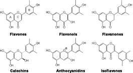 Figure 1 The major subclasses of flavonoids. Classification is based on variations in the heterocyclic C-ring.