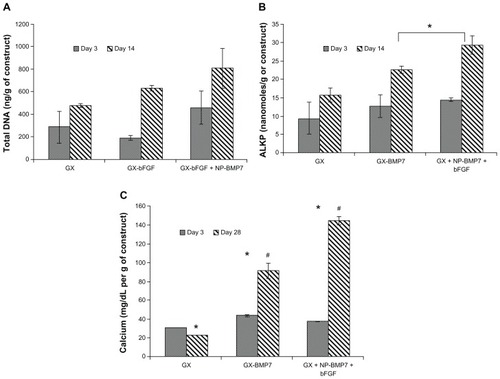 Figure 11 Effect of single vs dual growth factor (A) total DNA (B) alkaline phosphatase (C) calcium content.Notes:#*P < 0.05 as compared to control and within groups.Abbreviations: GX, gellan:xanthan; bFGF, basic fibroblast growth factor; BMP, bone morphogenetic protein; NP, chitosan nanoparticles.