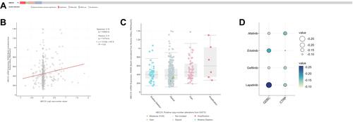 Figure 6 (A) ABCC5 alterations in the LIHC cohort. The different types of genetic alterations are highlighted in different colors. (B) Correlation between ABCC5 expression and the copy number of ABCC5 in LIHC. (C) LIHC samples with deletions showed lower mRNA expression than those with diploids. (D) Prediction of drug sensitivity associated with ABCC5 in LIHC, including Afatinib, Erlotinib, Gefitinib, and Lapatinib.