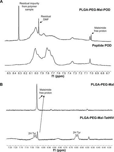 Figure 2 The 1H-NMR spectra of PLGA-PEG-POD and PLGA-PEG-HIV-Tat confirm the peptide coupling to PLGA-PEG-maleimide polymer.Notes: 1H-NMR spectra in DMSO-d6 at 25°C of (A) PLGA-PEG-maleimide-POD copolymer and POD peptide. We used the specified amide/amine side chain region for peptide signal integration. (B) For PLGA-PEG-maleimide-HIV-Tat and PLGA-PEG-maleimide, we clearly see a reduction of the maleimide methine protons signal intensity and the appearance of Tyr aromatic protons from HIV-Tat peptide after conjugation.Abbreviations: 1H-NMR, proton nuclear magnetic resonance; DMF, N,N-Dimethylformamide; DMSO, dimethyl sulfoxide-d6; HIV-Tat, human immunodeficiency virus transactivator; Mal, maleimide; PEG, polyethyleneglycol; PLGA, poly(lactic-co-glycolic acid); POD, peptide for ocular delivery; Tyr, tyrosine.