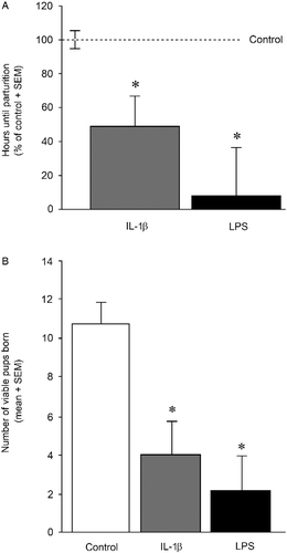 Figure 1.  Length of gestation and viable pups born. (A) The mean length of gestation expressed as the number of hours after 00:00 h on GD 18 (mean ± SEM) that preceded parturition in dams administered either IL-1β (1 μg/rat daily, n = 8), LPS (30 μg/kg daily, n = 5) or vehicle (0.9% saline, n = 8) on GDs 17–21. * Indicates significant difference from control rats, p < 0.05. (B) The mean number of pups/litter present at parturition born to dams administered either IL-1β (1 μg/rat daily, n = 8), LPS (30 μg/kg daily, n = 5) or vehicle (0.9% saline, n = 8) on GDs 17–21. * Indicates significant difference from control rats in one-way ANOVA, p < 0.05.