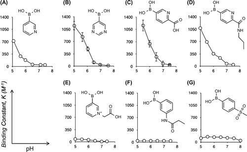 Figure 4. Binding constants (K, M−1) for SA binding to a variety of boronic acids as a function of pH, as determined by B11NMR analysis; A: 3-pyridylboronic acid, B: 5-pyrimidine boronic acid, C: 5-boronopicolinic acid, D: (6-propylcarbamoyl)pyridine-3-)boronic acid, E: 3-borono-1-(carboxymethyl)pyridine, F: 3-propionamidophenylboronic acid, G: 4-(methylsulfonyl)benzeneboronic acid. Values in B and C represent mean S. D. (n = 3). Reprinted from Ref. [Citation74] with permission. © 2012, Royal Society of Chemistry.