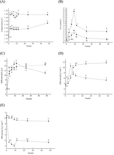 Figure 6. Analysis of the inhibitory effect of the Bacillus altitudinis Q7 fermentation broth on Alternaria alternata. Cell membrane permeability (A); Lipid peroxidation (B); SOD activity (C); POD activity (D); PPO activity (E). The control group (■); the group treated with Q7 (●).Note: Statistical analysis was performed using t test at P < 0.05. Each data point is representative of the mean of three replicates. The different letters (a–f, A–E) indicated the significant differences at different times.