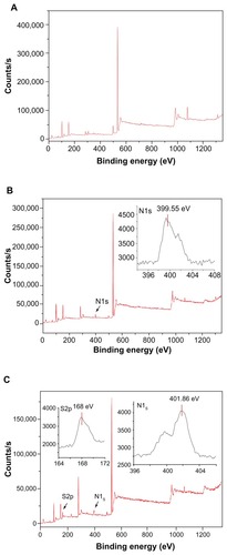 Figure 3 X-ray photoelectron spectroscopy spectrum of diatomite before and after modification. Before modification (A), Si2p and O1s were detected at 102.66 eV(2p) and 532.05 eV(1s); after modification by PAH (B), a clear N1s signal was present at 399.55 eV(1s), corresponding to the amine of PAH.Note: After modification with PAH/PSS, the spectrum showed characteristic peaks of S2p at 168 eV(S2p), assigned to the sulfur of the sulfonate group of PSS.Abbreviations: PAH, poly(allylamine hydrochloride); PSS, poly(sodium 4-styrenesulfonate).