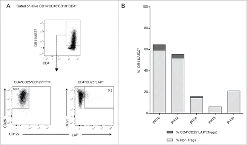 Figure 6. Assessment of Tregs in vaccine-specific CD4+ T cells. (A) Gating strategy: DR11/AE37+ cells were initially gated on live CD4+ T cells, after exclusion of CD14+CD16+CD19+ cells. Subsequent gating on tetramer+ cells, identified CD25+CD127low/neg cells and DR11/AE37+CD25+LAP+ T cells (Tregs). Dot plots from patient PR10 are presented as an example. (B) Percentages of DR11/AE37+CD4+CD25+LAP+ T cells in 10-d AE37-stimulated CD4+ T cells in all patients analyzed. Representative data at one timepoint during vaccinations with the highest Treg frequency for each patient are shown (PR10_R2, PR12_R6, PR14_R2, PR16_R2, and PR15_LTI).